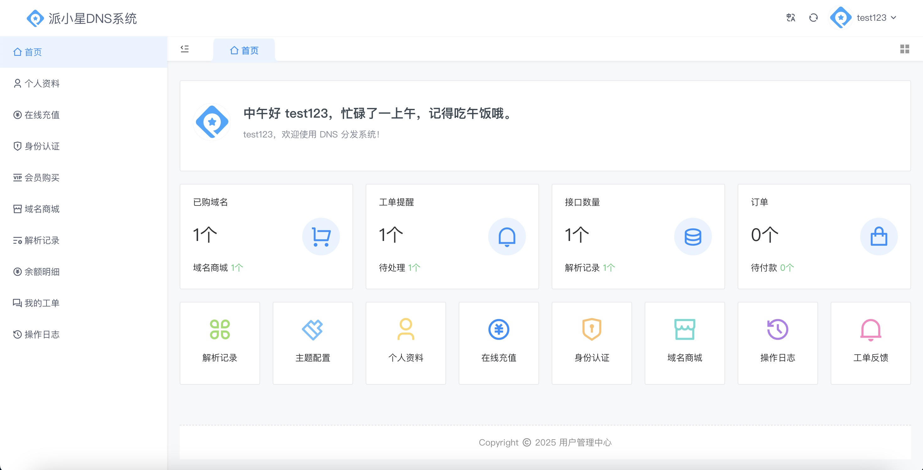 极地DNS系统